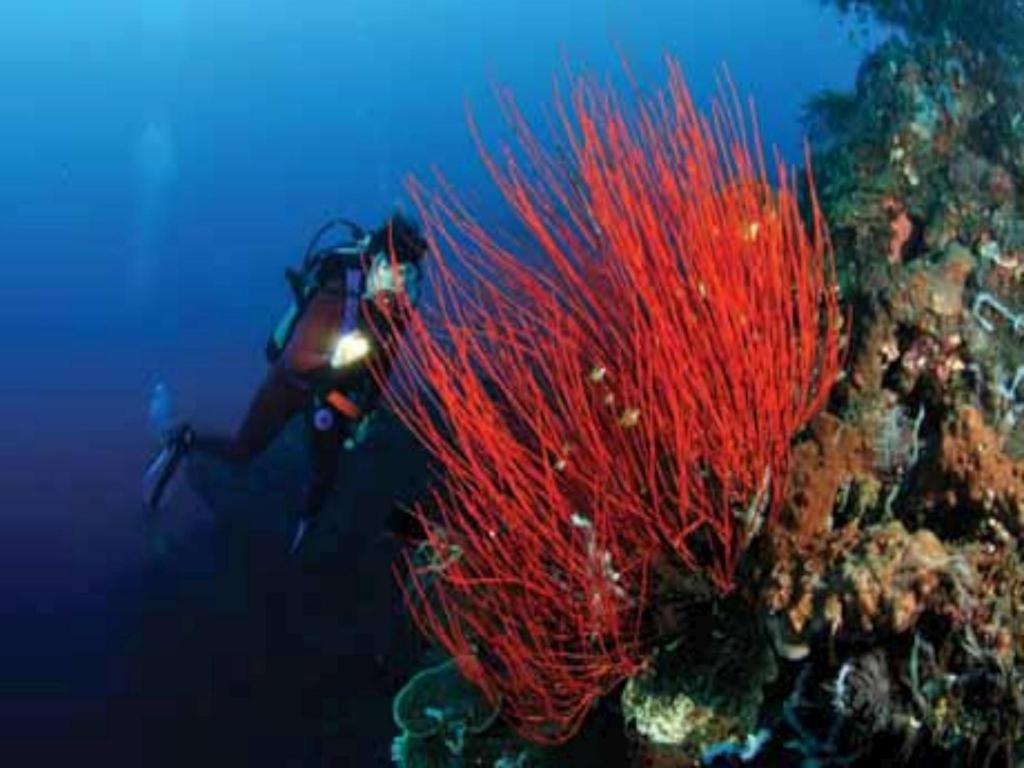 Tulamben Wreck Divers Resort & Restaurant Eksteriør bilde
