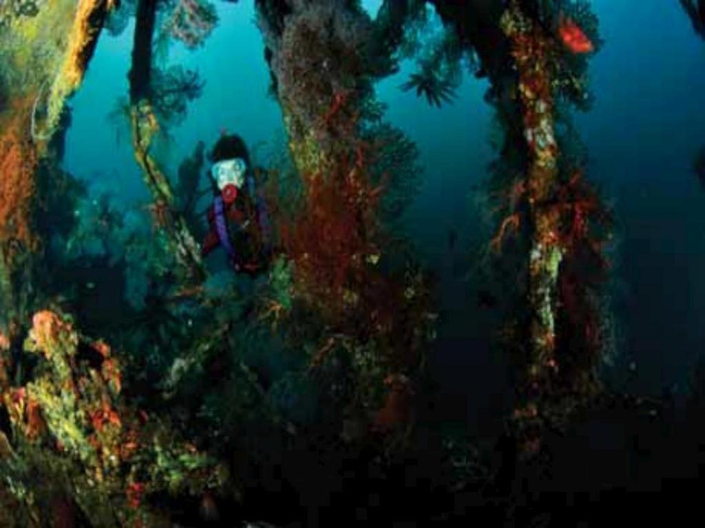 Tulamben Wreck Divers Resort & Restaurant Eksteriør bilde
